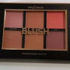 Blush Palette